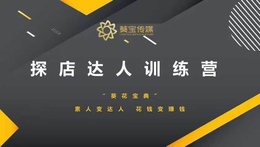 探店达人训练营，素人变达人，花钱变赚钱-AI网创