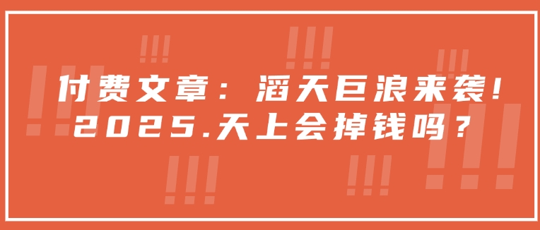 付费文章：滔天巨浪来袭！2025天上会掉钱吗？-AI网创