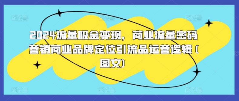 2024流量吸金变现，商业流量密码营销商业品牌定位引流品运营逻辑(图文)-AI网创