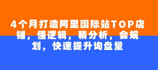 4个月打造阿里国际站TOP店铺，懂逻辑，精分析，会规划，快速提升询盘量-AI网创