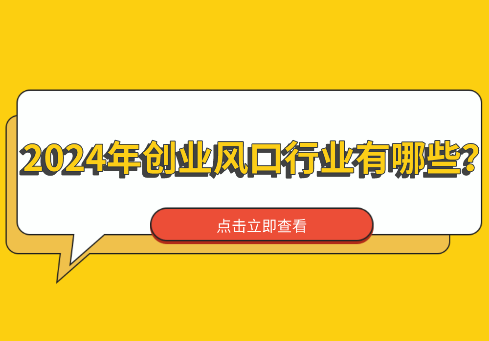 雷军谈风口理论下，2024年5个适合普通人的小风口行业-AI网创