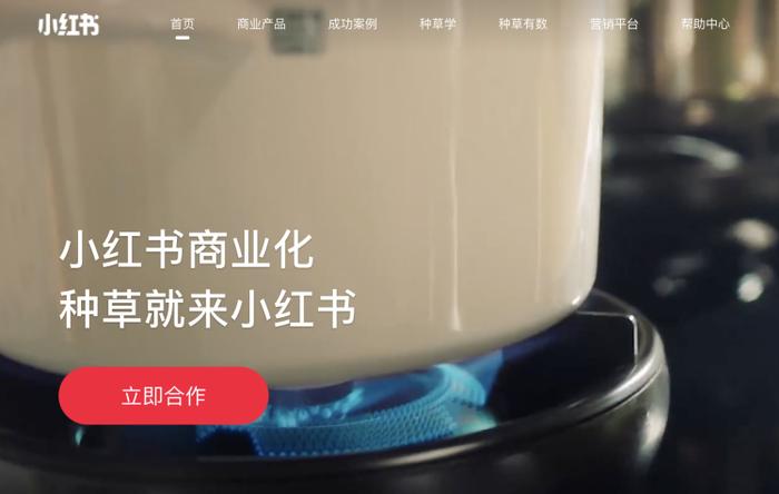 小红这本书是谁写的_小红这本书_小红书到底是干什么的