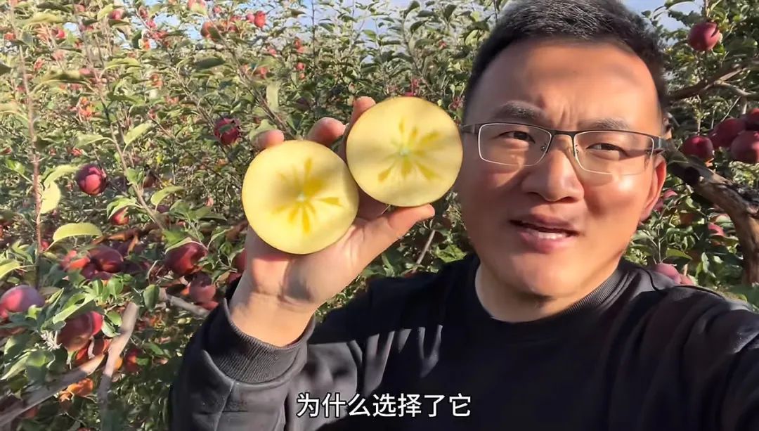 短视频带货_短视频带货真的能赚钱吗_短带长视频