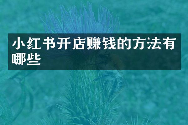 小红书开店赚钱的常见方法：自营、代购、联名与社交营销-AI网创