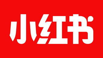 小红书怎么推广和引流？详细步骤教你如何在小红书上进行有效推广-AI网创