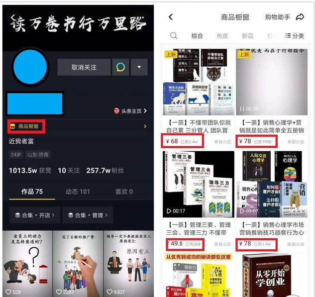 抖音红利期如何赚钱？揭秘抖音带货与变现的两种高效方式-AI网创
