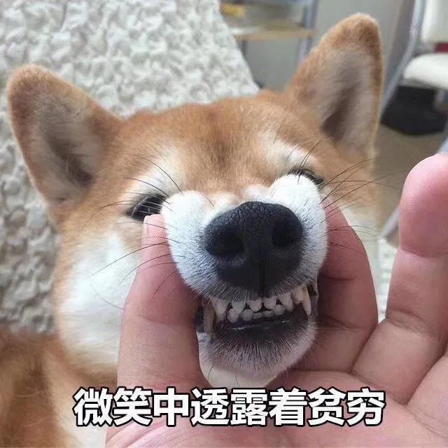 2021年今日头条赚钱_头条今日头条赚钱_如何在今日头条上赚钱