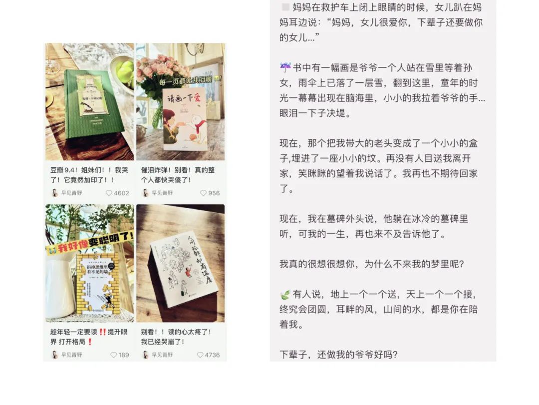 小红书赚钱app_怎样做小红书赚钱_小红书赚钱版