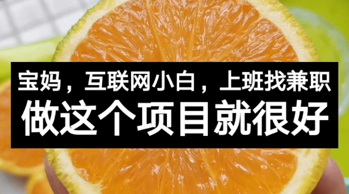 2024最新网上赚钱项目盘点：推广付费课程、轻松赚取高额佣金的三大方法-AI网创