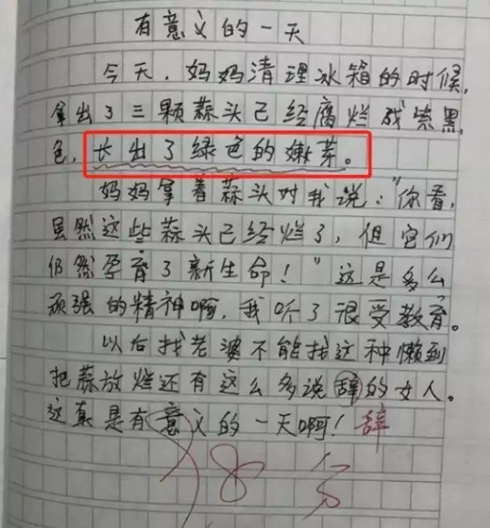 小学生作文搞笑句子_童言无忌作文精选_小学作文