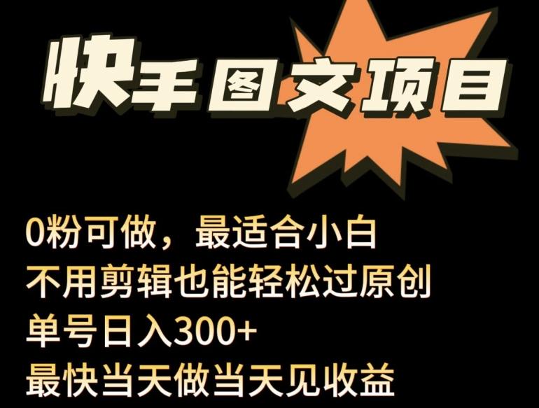 24年最新快手图文带货项目，零粉可做，不用剪辑轻松过原创单号轻松日入300+【揭秘】-AI网创