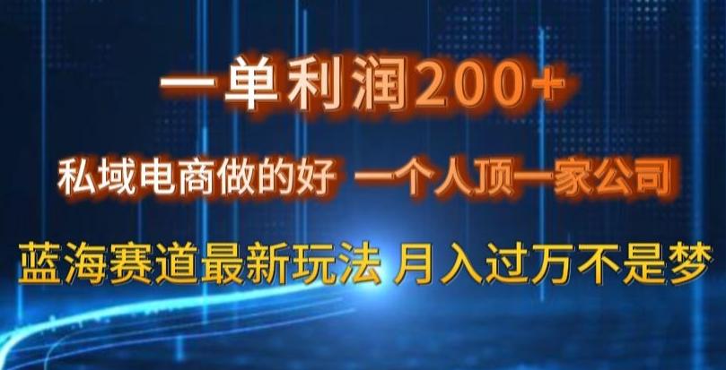 一单利润200私域电商做的好，一个人顶一家公司蓝海赛道最新玩法【揭秘】-AI网创