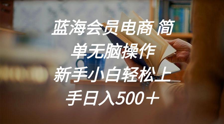 蓝海会员电商 简单无脑操作 新手小白轻松上手日入500＋-AI网创