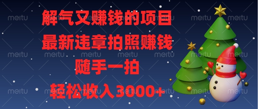 解气又赚钱的项目，最新违章拍照赚钱，随手一拍，轻松收入3000+-AI网创