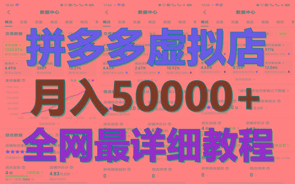 拼多多虚拟电商训练营月入50000+你也行，暴利稳定长久，副业首选-AI网创
