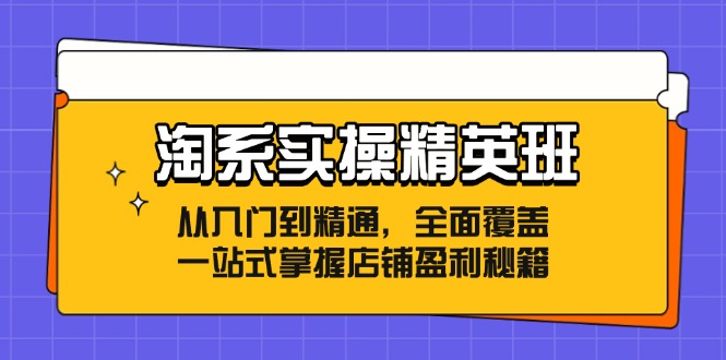 淘系实操精英班：从入门到精通，全面覆盖，一站式掌握店铺盈利秘籍-AI网创