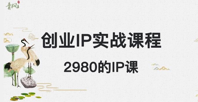 外边卖2980的创业IP课程，做私域月入5w+-AI网创