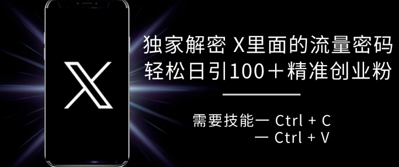 独家解密 X 里面的流量密码，复制粘贴轻松日引100+-AI网创