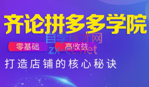 齐论拼多多vip课程-AI网创
