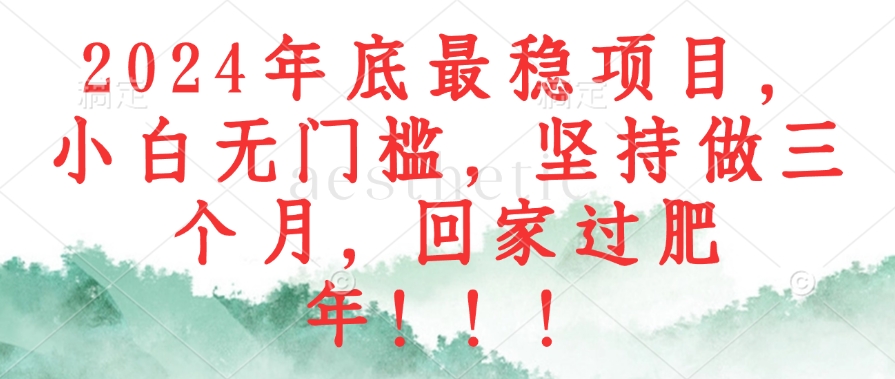 2024年底最稳项目，小白无门槛，坚持做三个月，回家过肥年！！！-AI网创