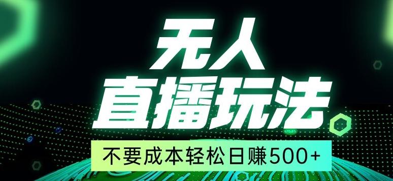 全网首发24年最新无人直播玩法，不需要成本，无需人力，一台电脑24小时为你工作-AI网创