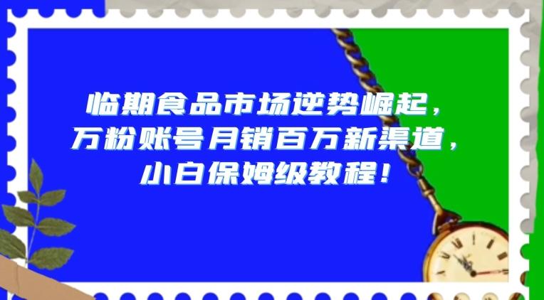 临期食品市场逆势崛起，万粉账号月销百万新渠道，小白保姆级教程【揭秘】-AI网创