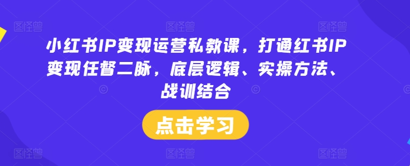 小红书IP变现运营私教课，打通红书IP变现任督二脉，底层逻辑、实操方法、战训结合-AI网创