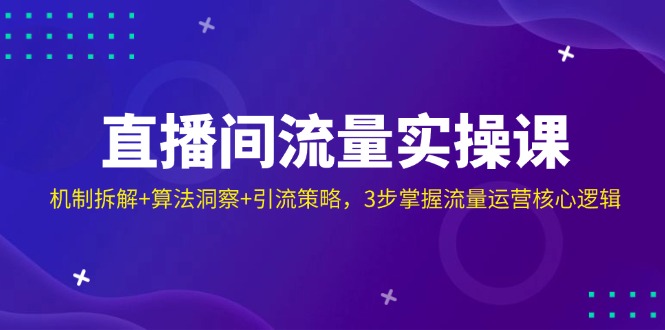 直播间流量实操课：机制拆解+算法洞察+引流策略，3步掌握流量运营核心逻辑-AI网创