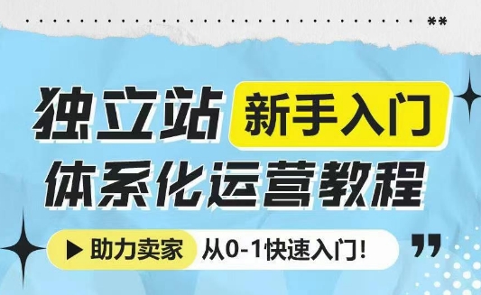 独立站新手入门体系化运营教程，助力独立站卖家从0-1快速入门!-AI网创
