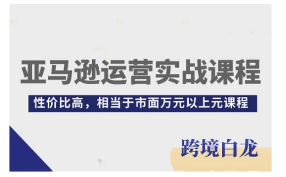 亚马逊运营实战课程，亚马逊从入门到精通，性价比高，相当于市面万元以上元课程-AI网创