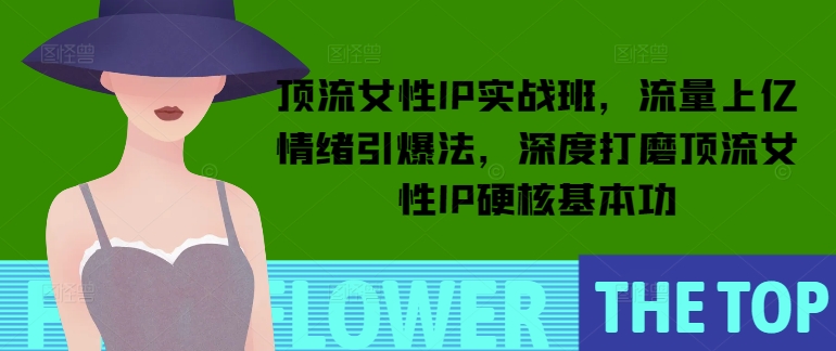 顶流女性IP实战班，流量上亿情绪引爆法，深度打磨顶流女性IP硬核基本功-AI网创