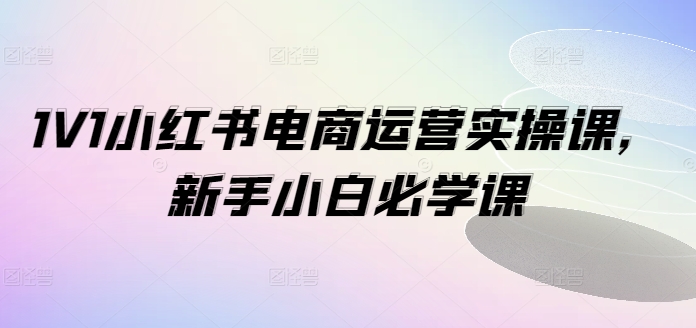 1V1小红书电商运营实操课，新手小白必学课-AI网创