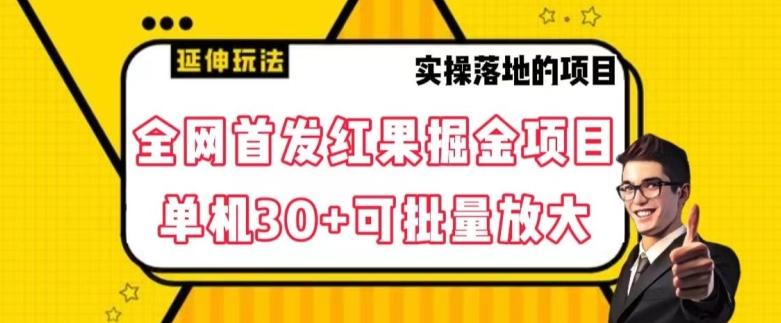 全网首发红果免费短剧掘金项目，单机30+可批量放大【揭秘】-AI网创