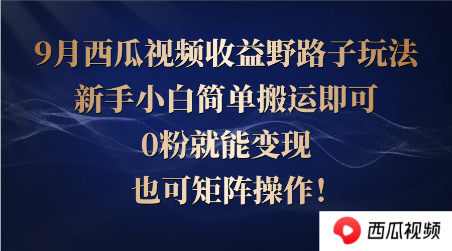 西瓜视频收益野路子玩法，新手小白简单搬运即可，0粉就能变现，也可矩…-AI网创