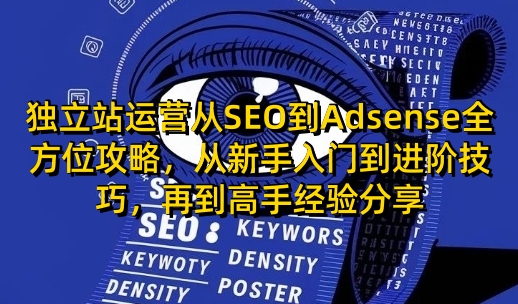 独立站运营从SEO到Adsense全方位攻略，从新手入门到进阶技巧，再到高手经验分享-AI网创