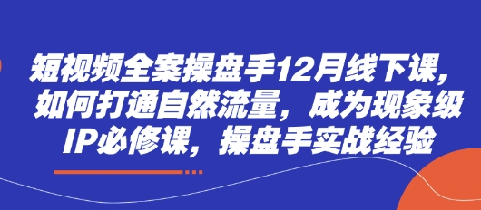 短视频全案操盘手12月线下课，如何打通自然流量，成为现象级IP必修课，操盘手实战经验-AI网创