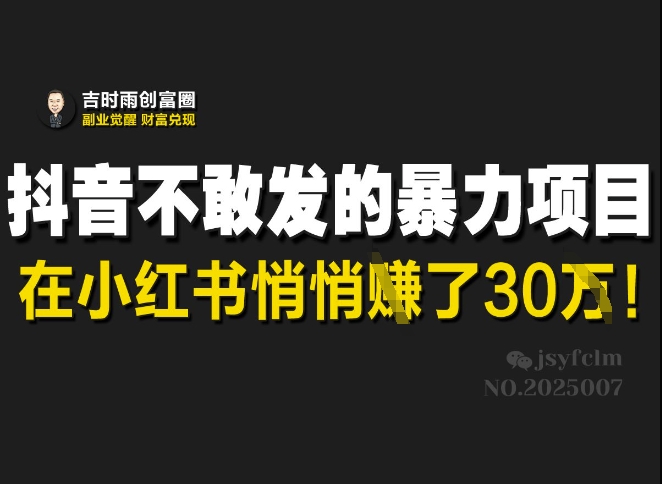 抖音不敢发的暴利项目，在小红书悄悄挣了30W-AI网创
