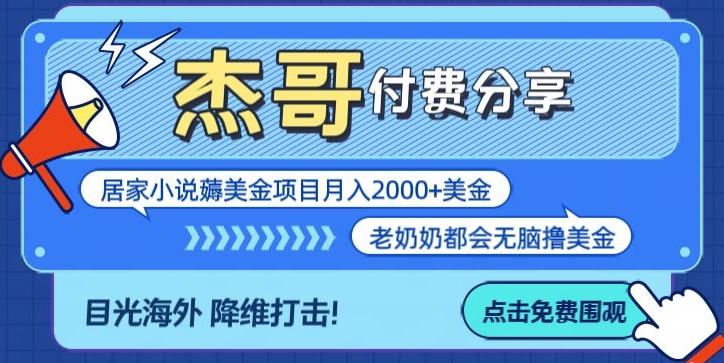 拆解海外撸美金项目月入2000美刀详细指导-AI网创