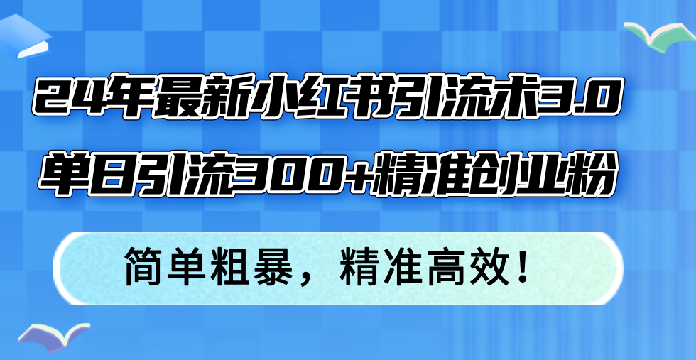 24年最新小红书引流术3.0，单日引流300+精准创业粉，简单粗暴，精准高效！-AI网创