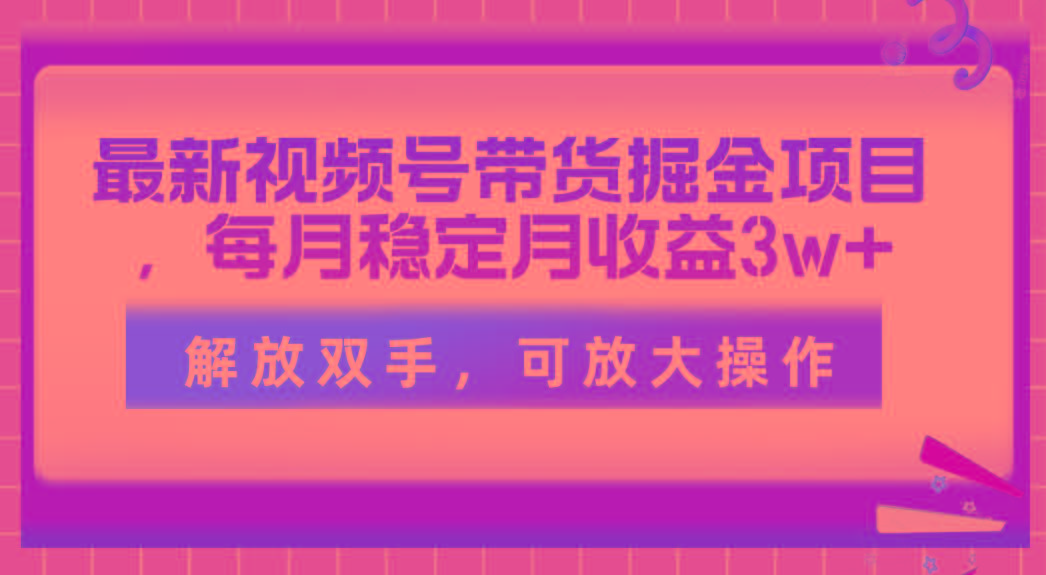 最新视频号带货掘金项目，每月稳定月收益3w+，解放双手，可放大操作-AI网创