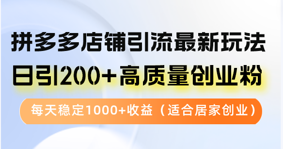 拼多多店铺引流最新玩法，日引200+高质量创业粉，每天稳定1000+收益(…-AI网创