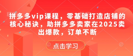 拼多多vip课程，零基础打造店铺的核心秘诀，助拼多多卖家在2025卖出爆款，订单不断-AI网创