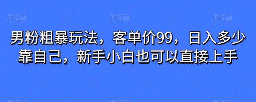 男粉粗暴玩法，客单价99，日入多少靠自己，新手小白也可以直接上手-AI网创