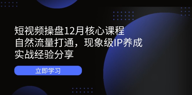 短视频操盘12月核心课程：自然流量打通，现象级IP养成，实战经验分享-AI网创