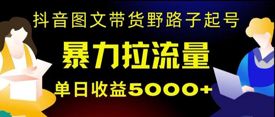抖音图文带货暴力起号，单日收益5000+，野路子玩法，简单易上手，一部手机即可【揭秘】-AI网创