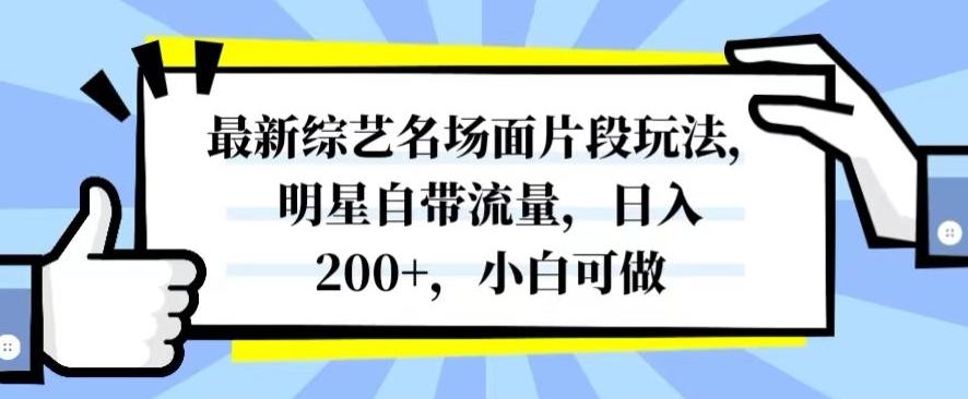 最新综艺名场面片段玩法，明星自带流量，日入200+，小白可做【揭秘】-AI网创