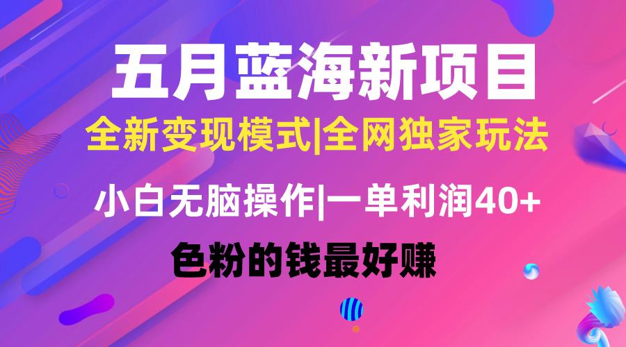 五月蓝海项目全新玩法，小白无脑操作，一天几分钟，矩阵操作，月入4万+-AI网创