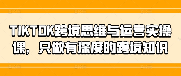 TIKTOK跨境思维与运营实操课，只做有深度的跨境知识-AI网创