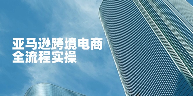 亚马逊跨境电商全流程实操，教你从零开始，掌握店铺运营与广告技巧-AI网创