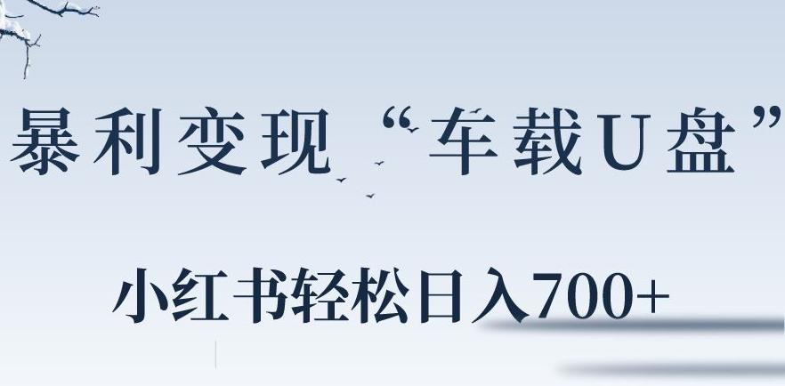 小红书“车载U盘”暴利引流，日入700+-AI网创